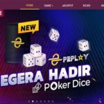 Poker Dice Agen Resmi P2Play